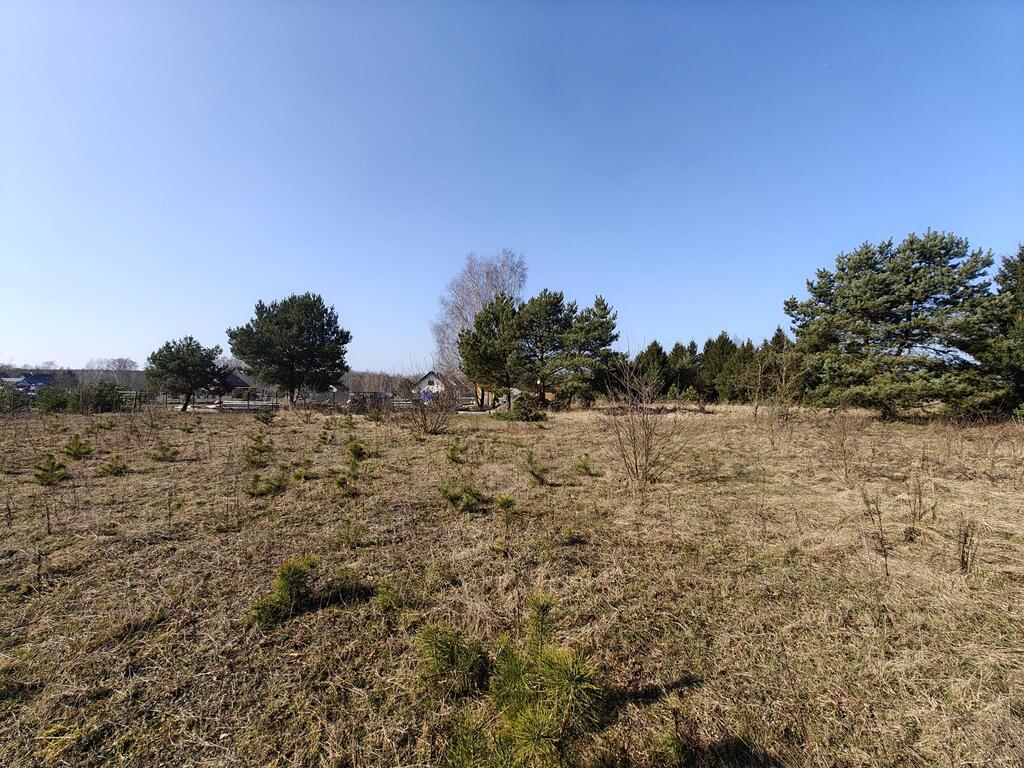 Działka na sprzedaż Żółwia Błoć 1 777 m2 | Arka Nieruchomości