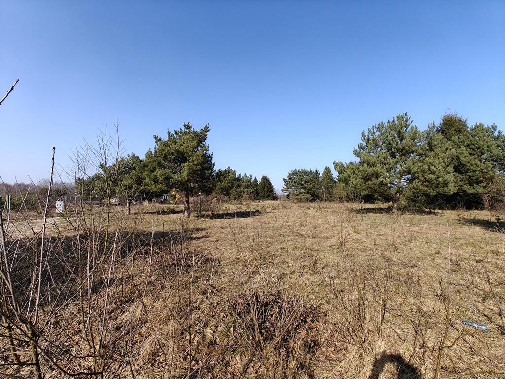 Działka na sprzedaż Żółwia Błoć 1 777 m2 | Arka Nieruchomości