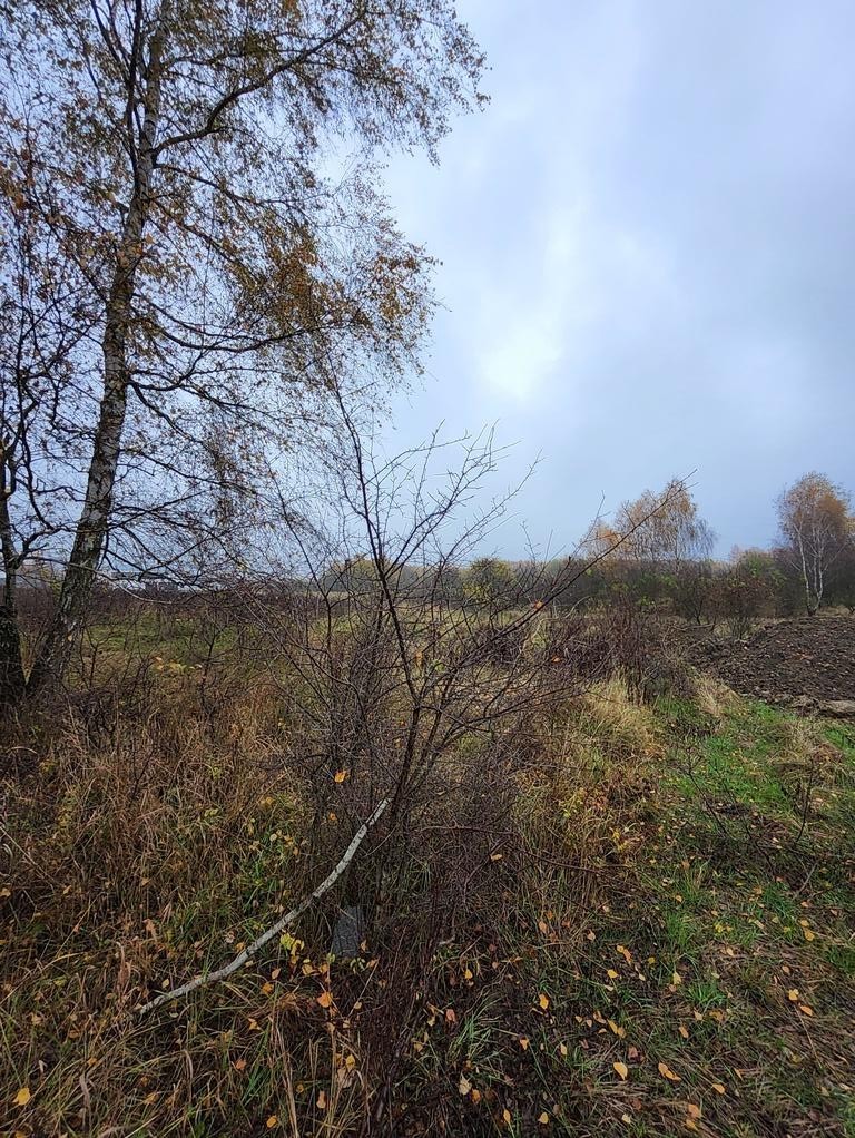 Działka na sprzedaż Szczecin, Warszewo 1 148 m2 | Arka Nieruchomości