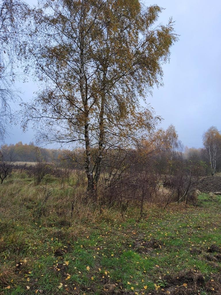 Działka na sprzedaż Szczecin, Warszewo 1 148 m2 | Arka Nieruchomości