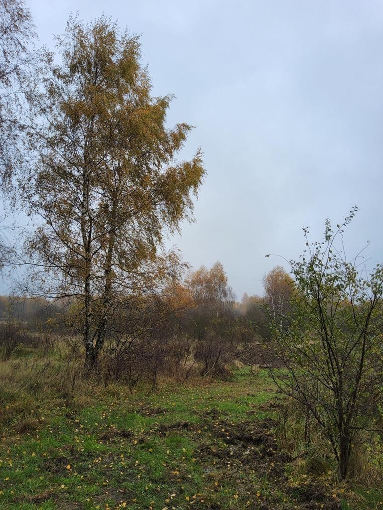 Działka na sprzedaż Szczecin, Warszewo 1 148 m2 | Arka Nieruchomości