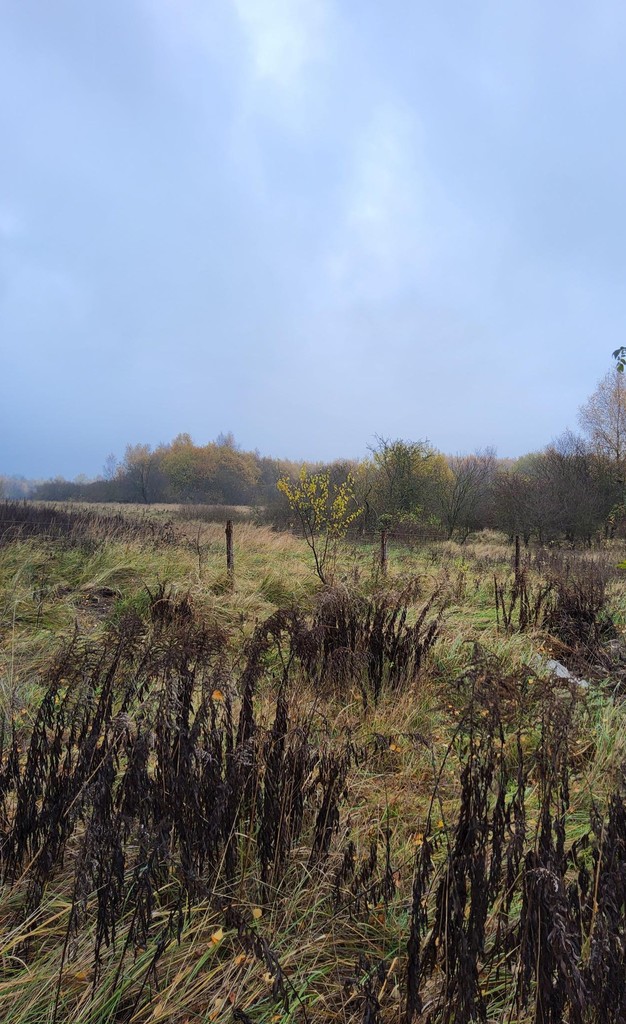 Działka na sprzedaż Szczecin, Warszewo 1 148 m2 | Arka Nieruchomości