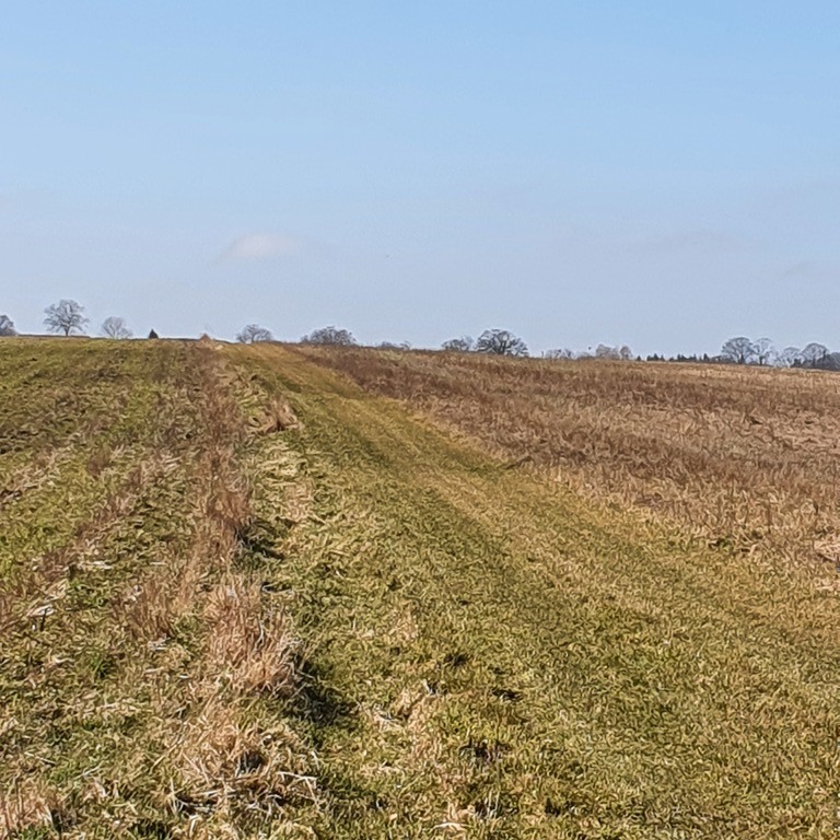Działka na sprzedaż Tucze 3 644 m2 | Arka Nieruchomości