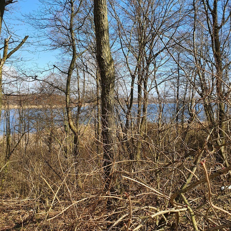 Działka na sprzedaż Tucze 3 644 m2 | Arka Nieruchomości