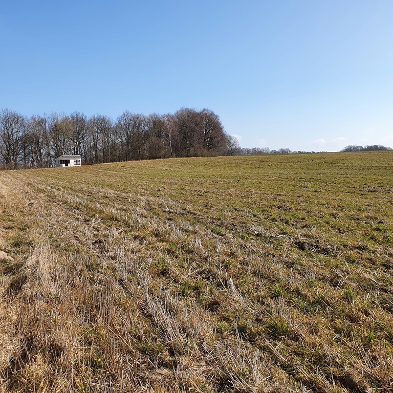 Działka na sprzedaż Tucze 3 644 m2 | Arka Nieruchomości