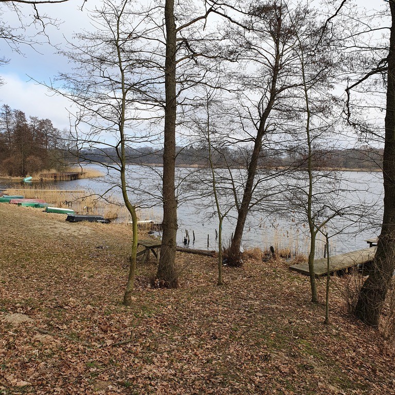 Działka na sprzedaż Tucze 3 644 m2 | Arka Nieruchomości