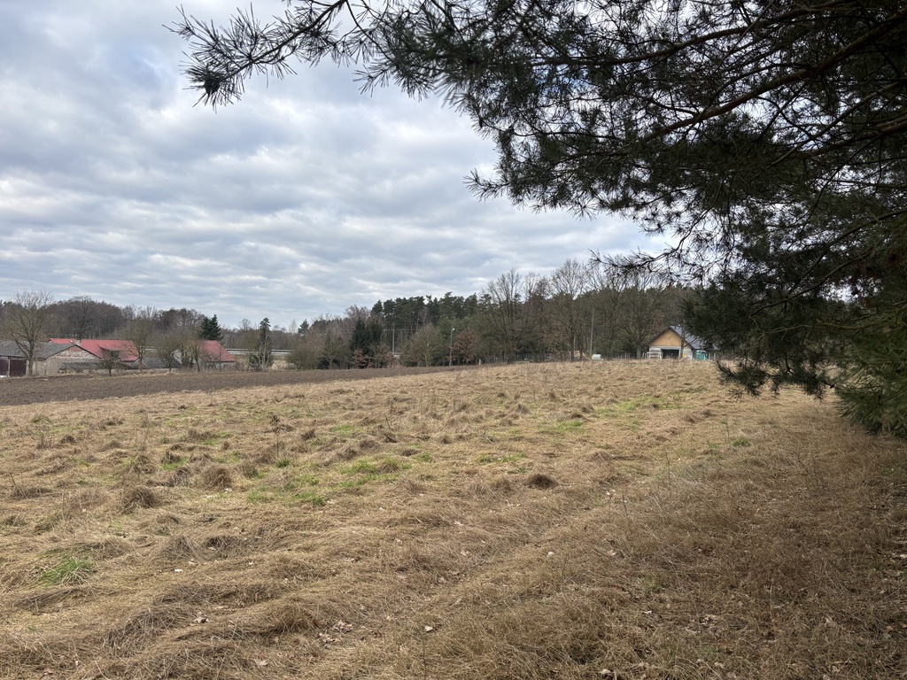 Działka na sprzedaż Kikorze 1 855 m2 | Arka Nieruchomości