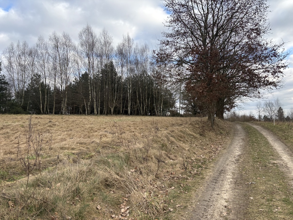 Działka na sprzedaż Kikorze 1 855 m2 | Arka Nieruchomości