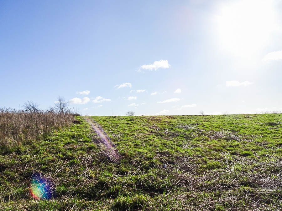 Działka na sprzedaż Dobra 2 001 m2 | Arka Nieruchomości