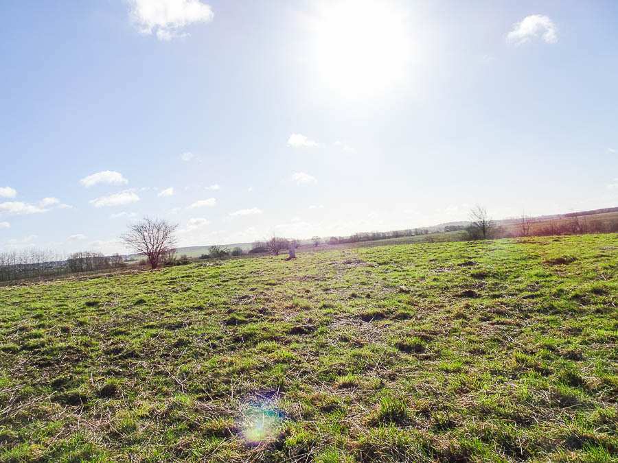 Działka na sprzedaż Dobra 2 001 m2 | Arka Nieruchomości