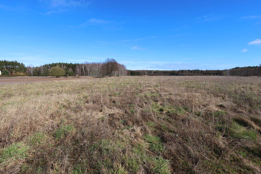 Działka na sprzedaż Lubczyna 3 528 m2 | Arka Nieruchomości