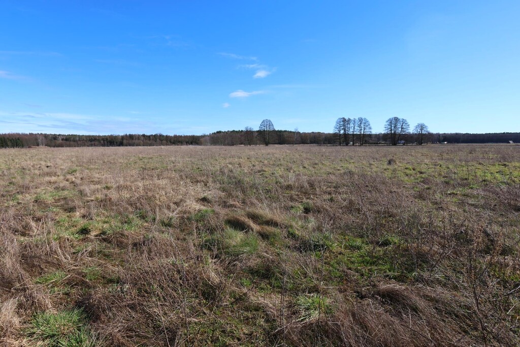 Działka na sprzedaż Lubczyna 3 528 m2 | Arka Nieruchomości