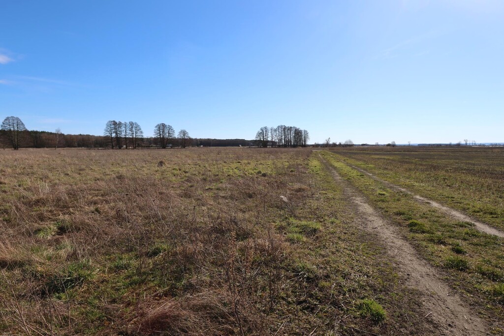 Działka na sprzedaż Lubczyna 3 528 m2 | Arka Nieruchomości