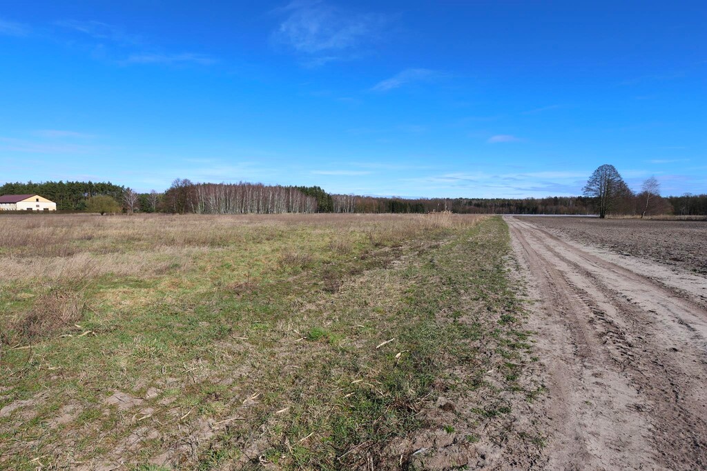 Działka na sprzedaż Lubczyna 3 528 m2 | Arka Nieruchomości
