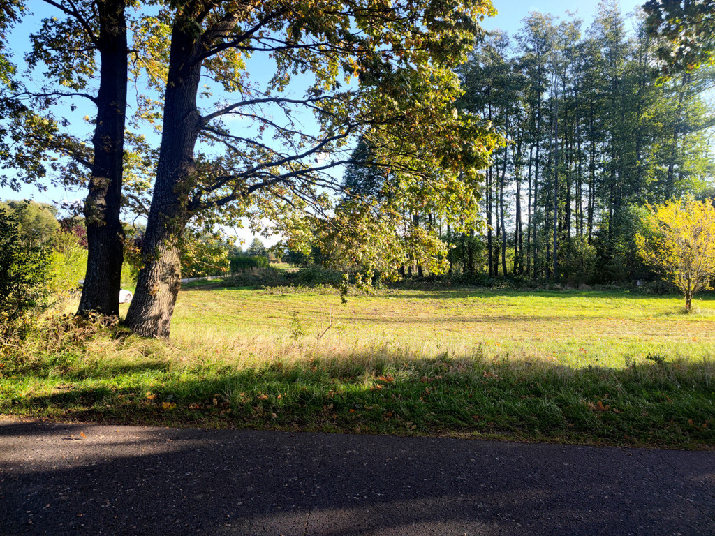 Działka na sprzedaż Rzędziny 1 102 m2 | Arka Nieruchomości
