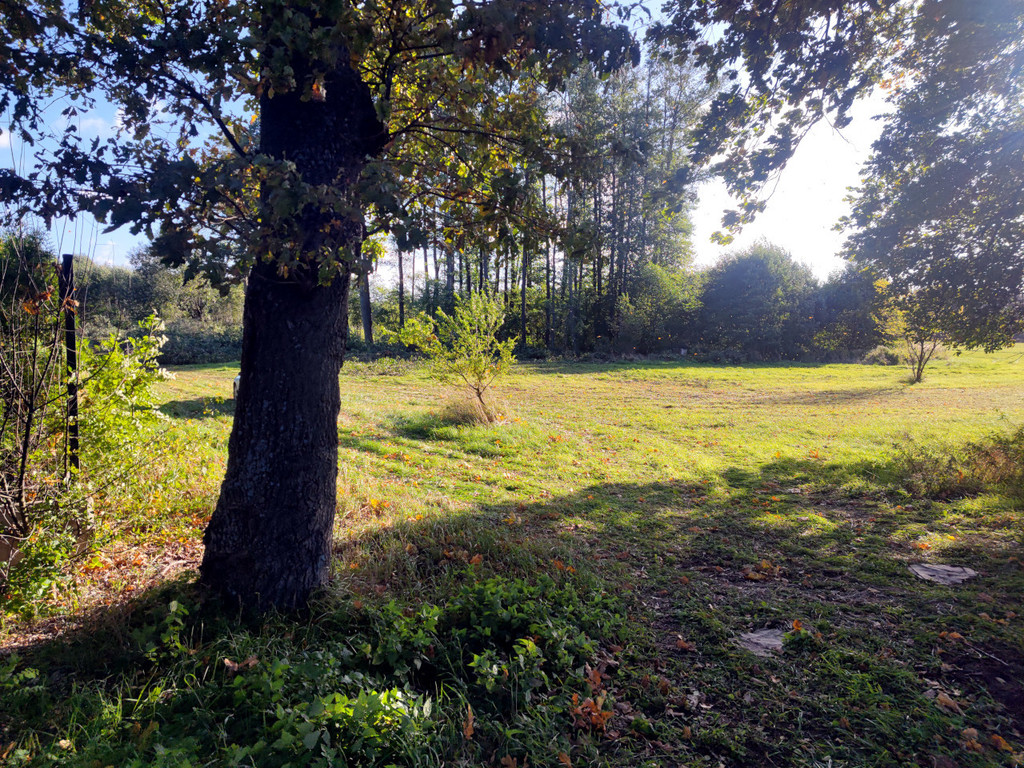Działka na sprzedaż Rzędziny 1 102 m2 | Arka Nieruchomości