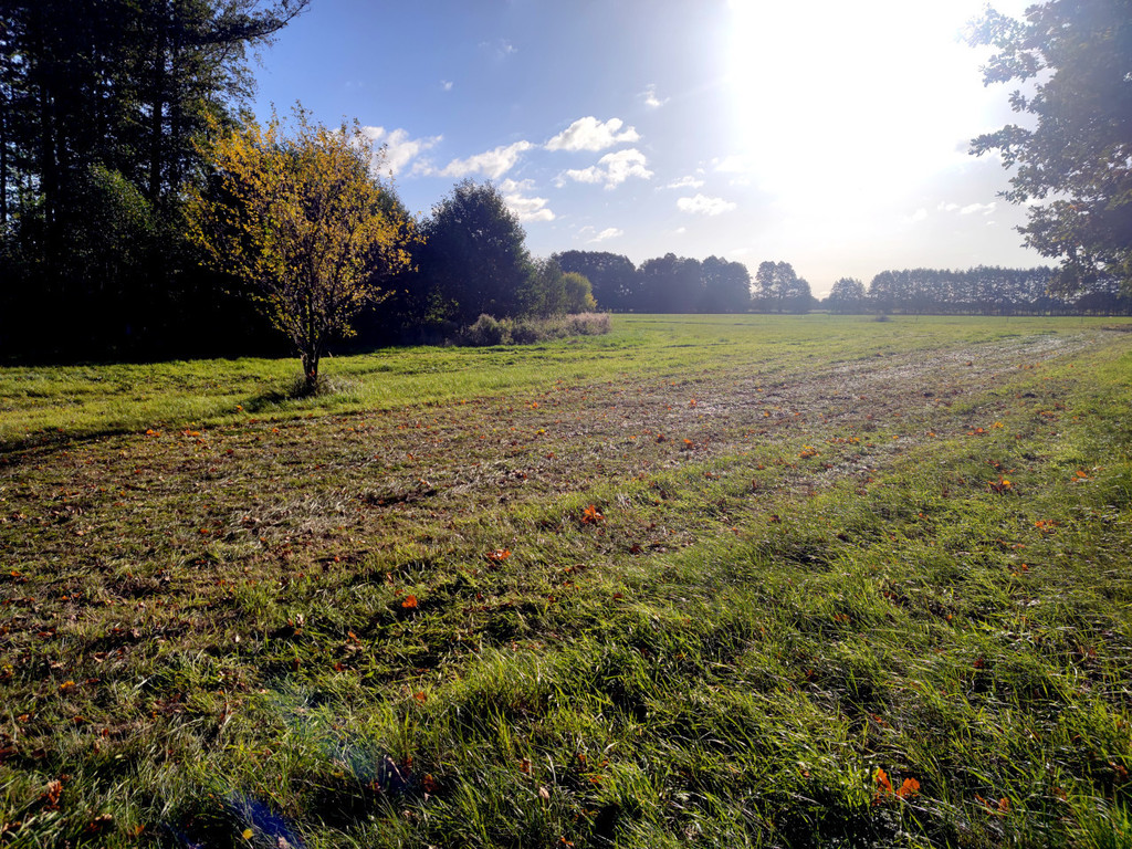 Działka na sprzedaż Rzędziny 1 102 m2 | Arka Nieruchomości