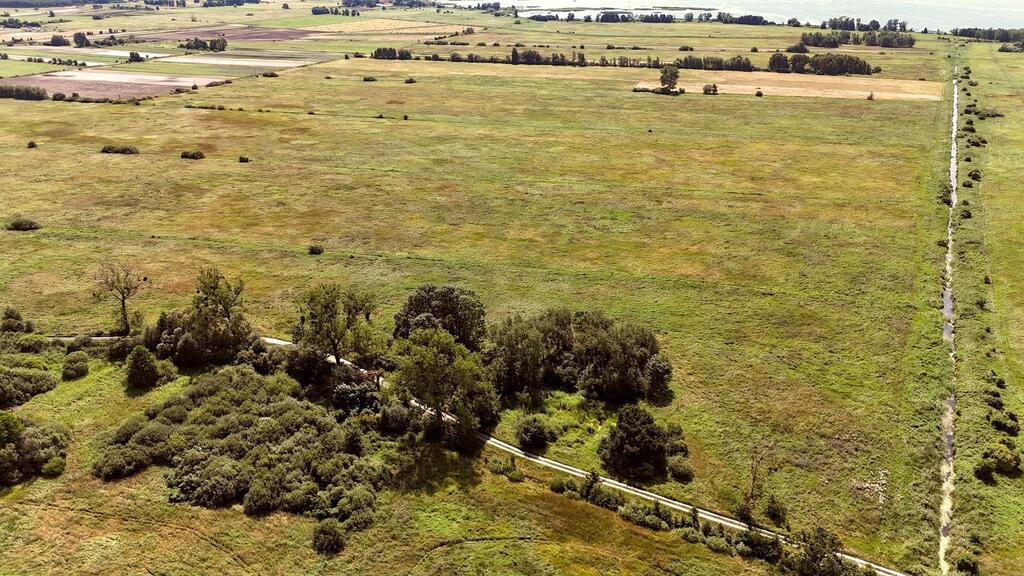 Działka na sprzedaż Komarowo 65 968 m2 | Arka Nieruchomości