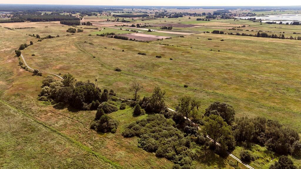 Działka na sprzedaż Komarowo 65 968 m2 | Arka Nieruchomości