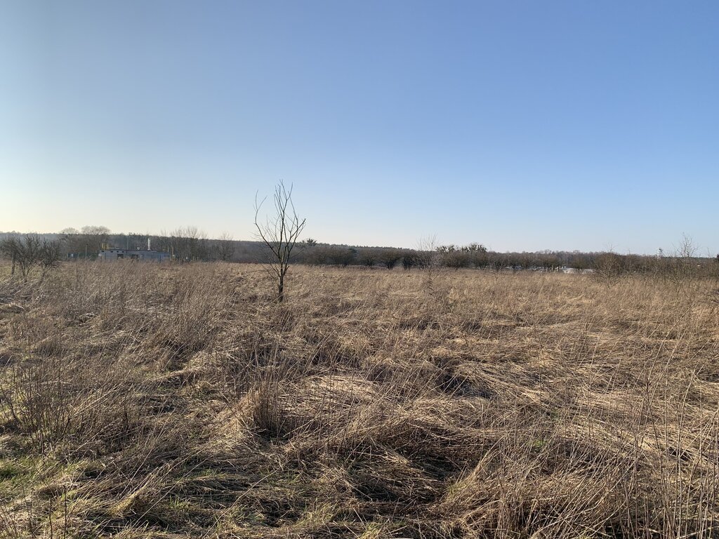 Działka na sprzedaż Żółwia Błoć 3 m2 | Arka Nieruchomości