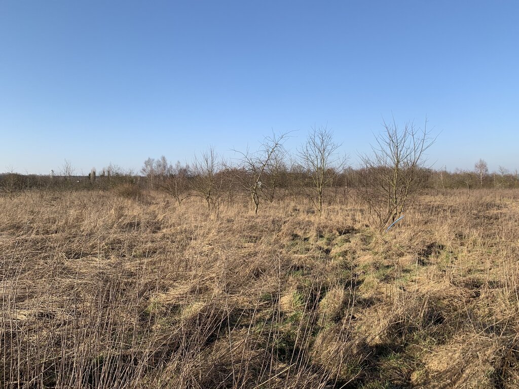 Działka na sprzedaż Żółwia Błoć 3 m2 | Arka Nieruchomości