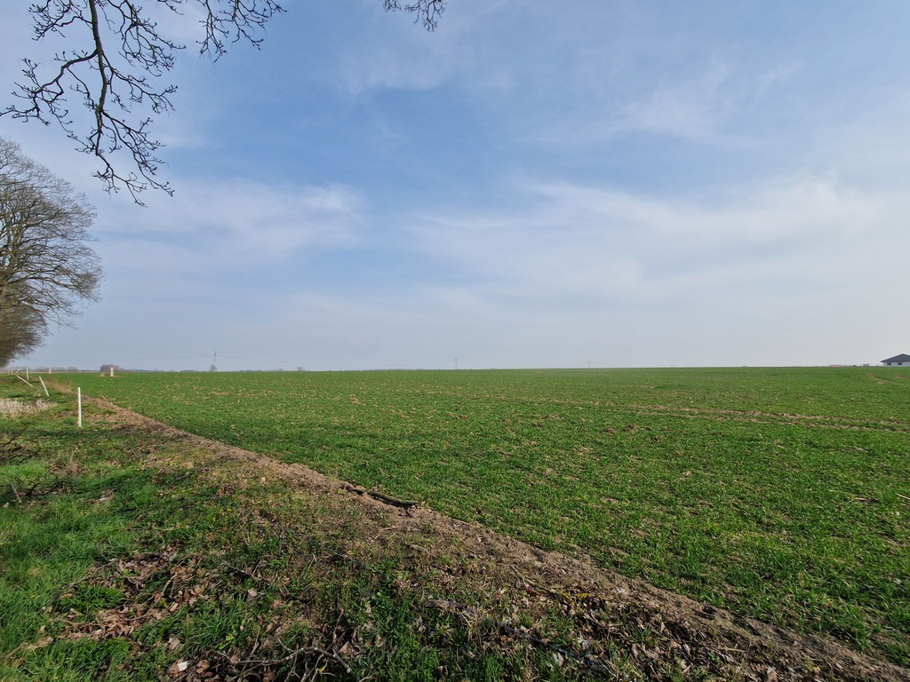 Działka na sprzedaż Przemocze 1 957 m2 | Arka Nieruchomości