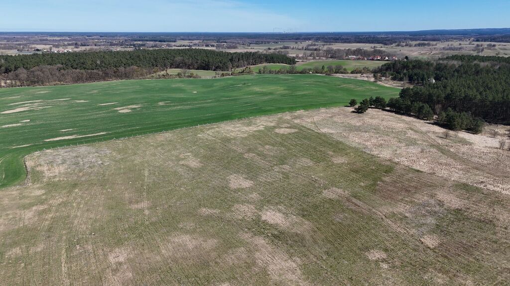 Działka na sprzedaż Buk 13 579 m2 | Arka Nieruchomości