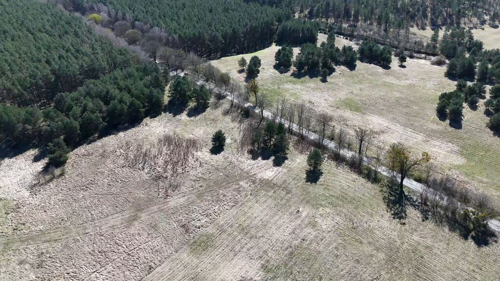 Działka na sprzedaż Buk 13 579 m2 | Arka Nieruchomości