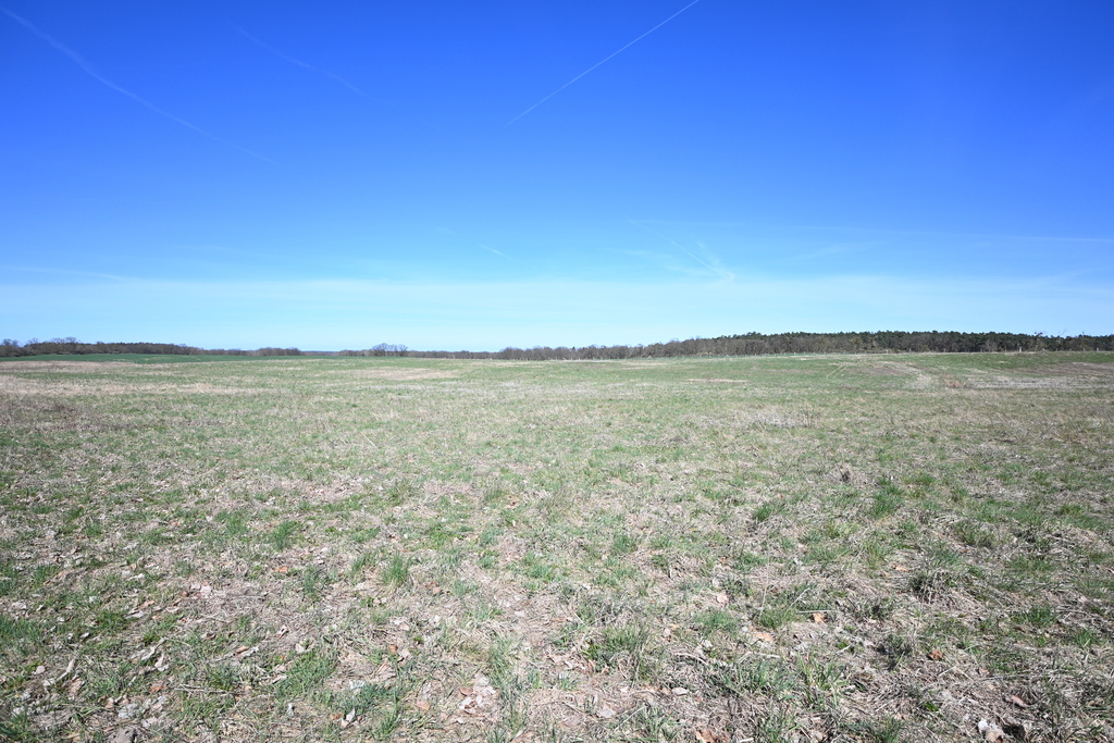 Działka na sprzedaż Buk 13 579 m2 | Arka Nieruchomości