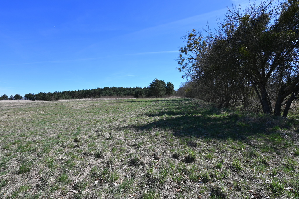 Działka na sprzedaż Buk 13 579 m2 | Arka Nieruchomości