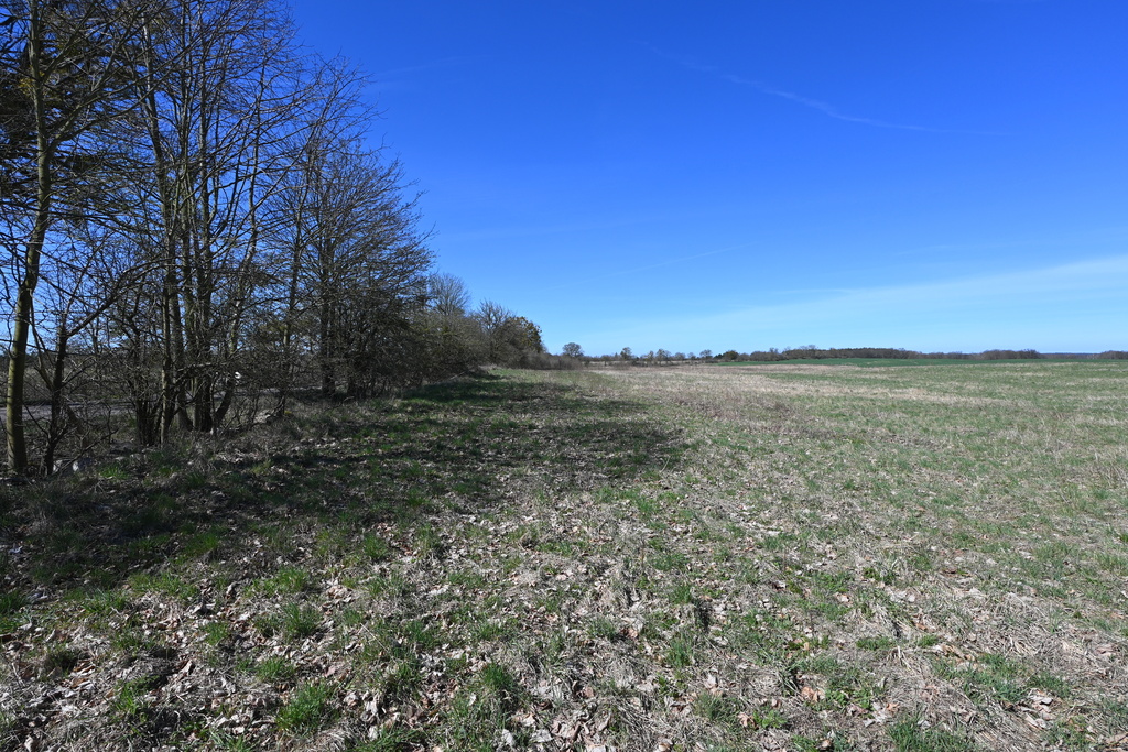Działka na sprzedaż Buk 13 579 m2 | Arka Nieruchomości