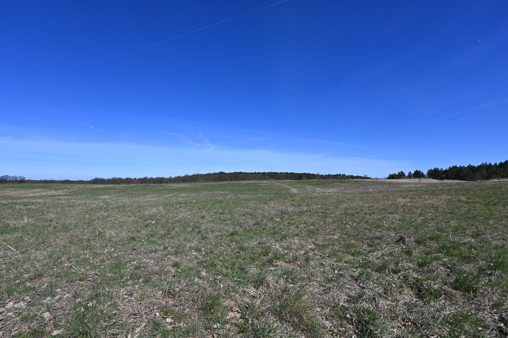 Działka na sprzedaż Buk 13 579 m2 | Arka Nieruchomości