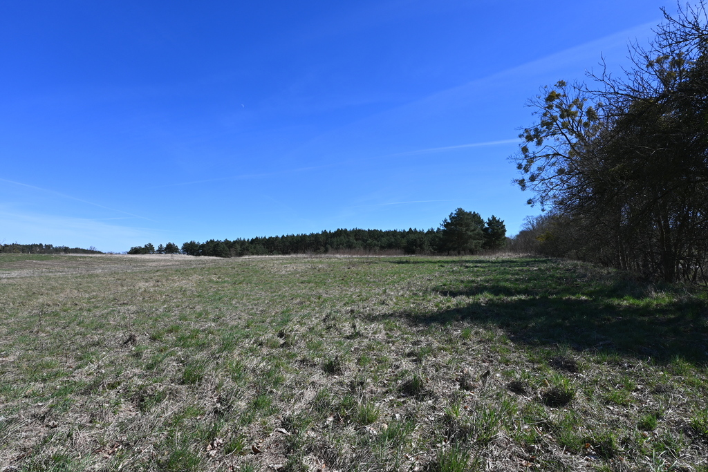 Działka na sprzedaż Buk 13 579 m2 | Arka Nieruchomości