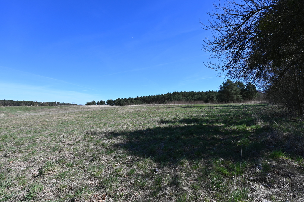 Działka na sprzedaż Buk 13 579 m2 | Arka Nieruchomości