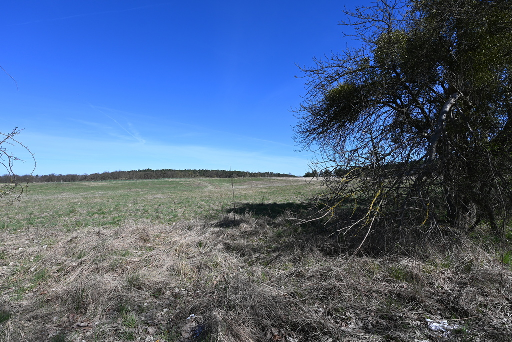Działka na sprzedaż Buk 13 579 m2 | Arka Nieruchomości