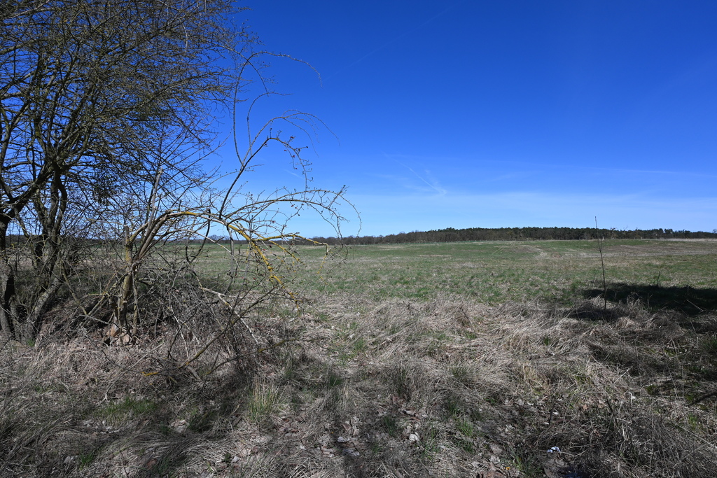 Działka na sprzedaż Buk 13 579 m2 | Arka Nieruchomości