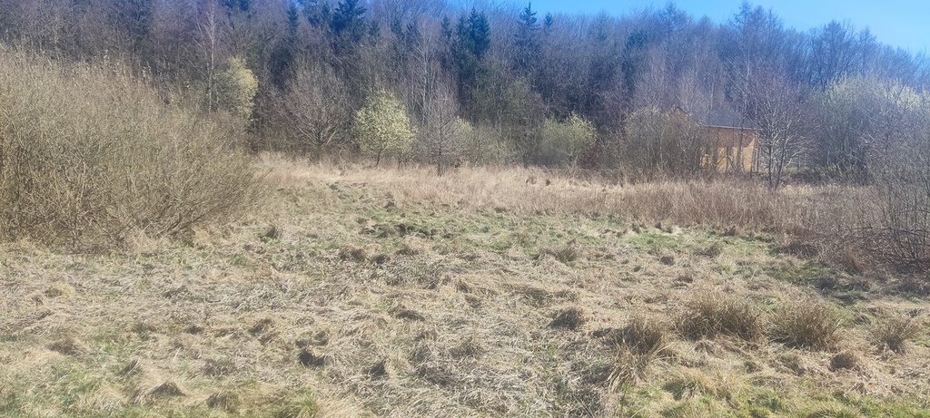 Działka na sprzedaż Linówko 1 870 m2 | Arka Nieruchomości