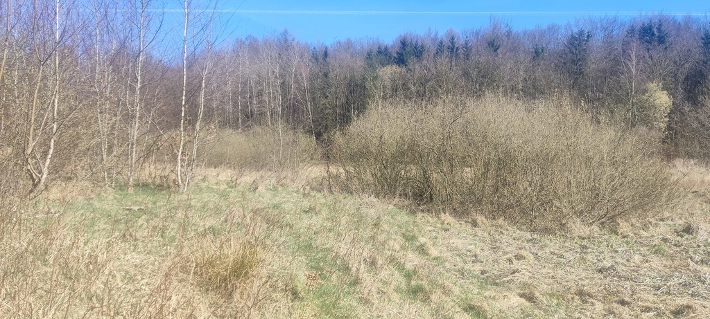 Działka na sprzedaż Linówko 1 870 m2 | Arka Nieruchomości