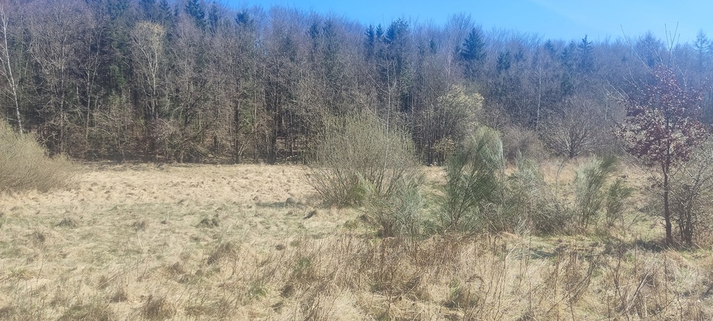 Działka na sprzedaż Linówko 1 870 m2 | Arka Nieruchomości