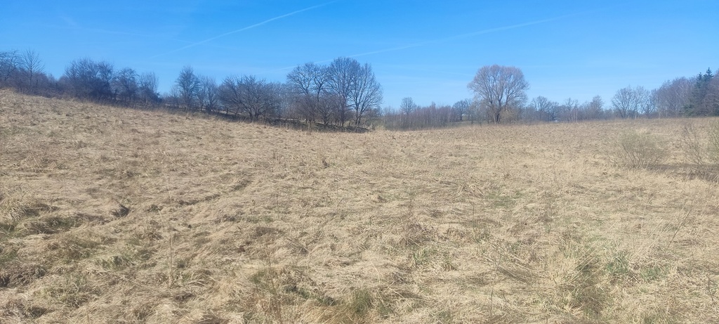 Działka na sprzedaż Linówko 1 870 m2 | Arka Nieruchomości