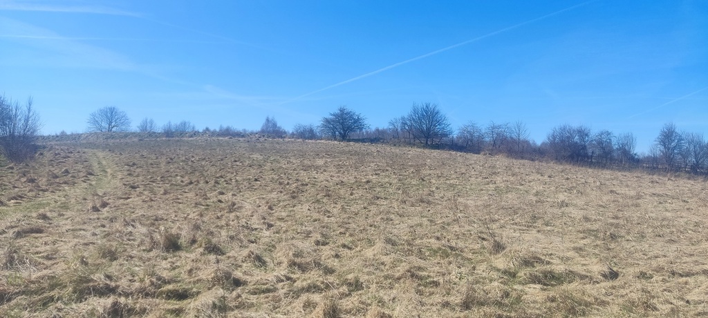 Działka na sprzedaż Linówko 1 870 m2 | Arka Nieruchomości