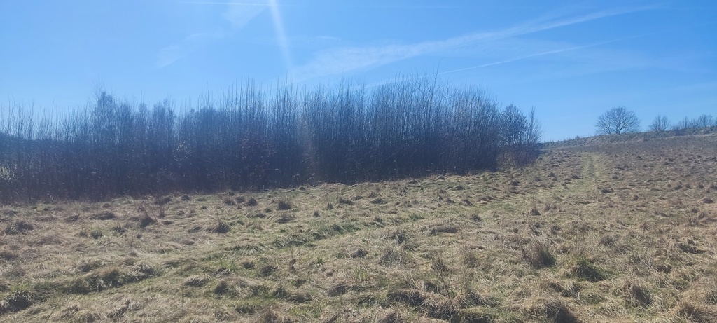 Działka na sprzedaż Linówko 1 870 m2 | Arka Nieruchomości