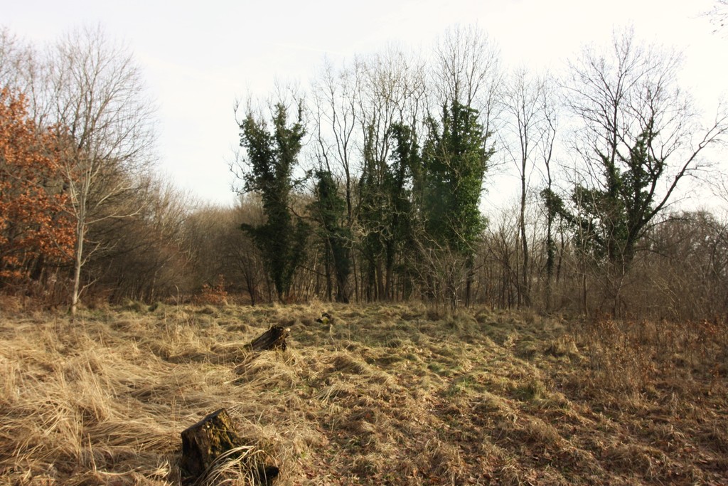 Obiekt na sprzedaż Storkowo 800 m2 | Arka Nieruchomości