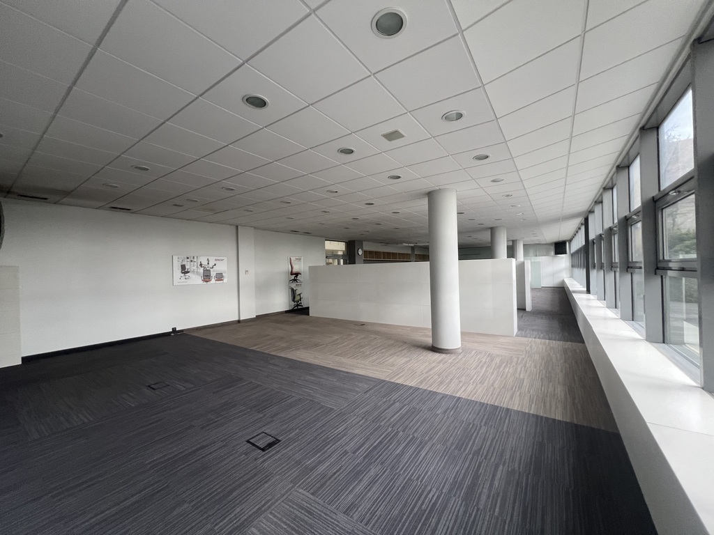 Lokal na wynajem Szczecin, Centrum 202 m2 | Arka Nieruchomości