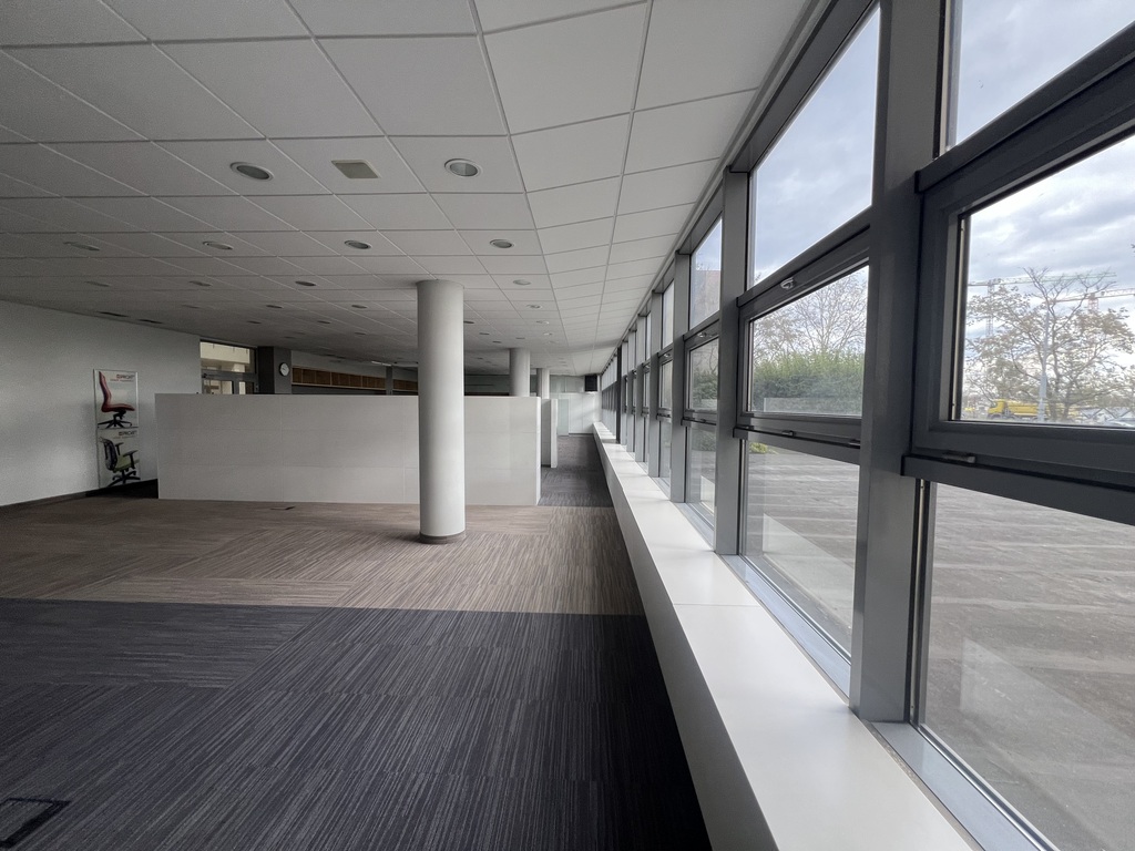 Lokal na wynajem Szczecin, Centrum 202 m2 | Arka Nieruchomości