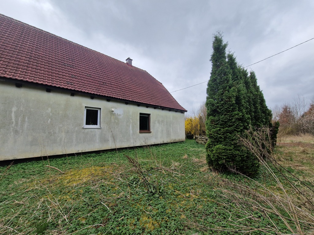  Olchowo  | Arka Nieruchomości