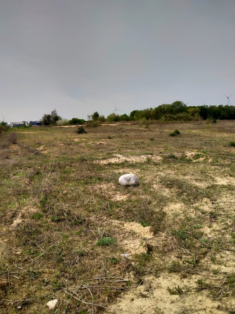 Działka na sprzedaż Kamieniec 15 994 m2 | Arka Nieruchomości