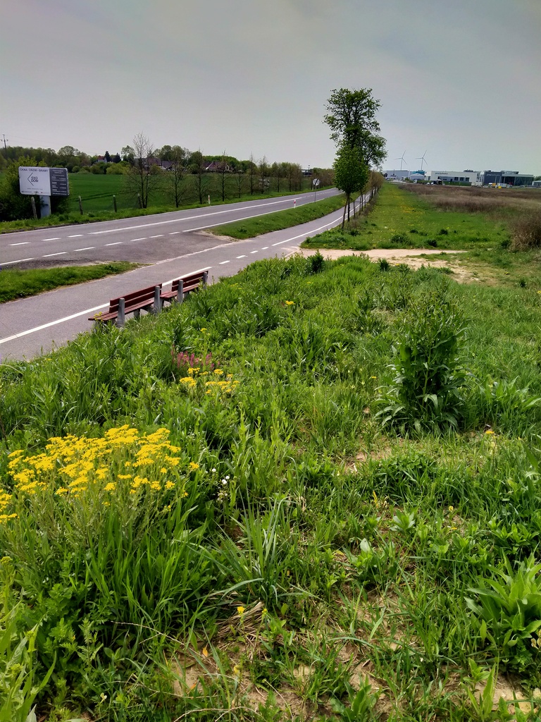 Działka na sprzedaż Kamieniec 15 994 m2 | Arka Nieruchomości