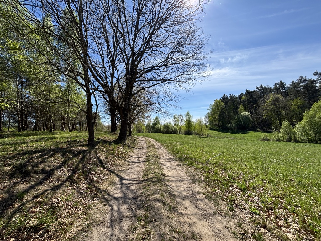 Działka na sprzedaż Kikorze 1 517 m2 | Arka Nieruchomości