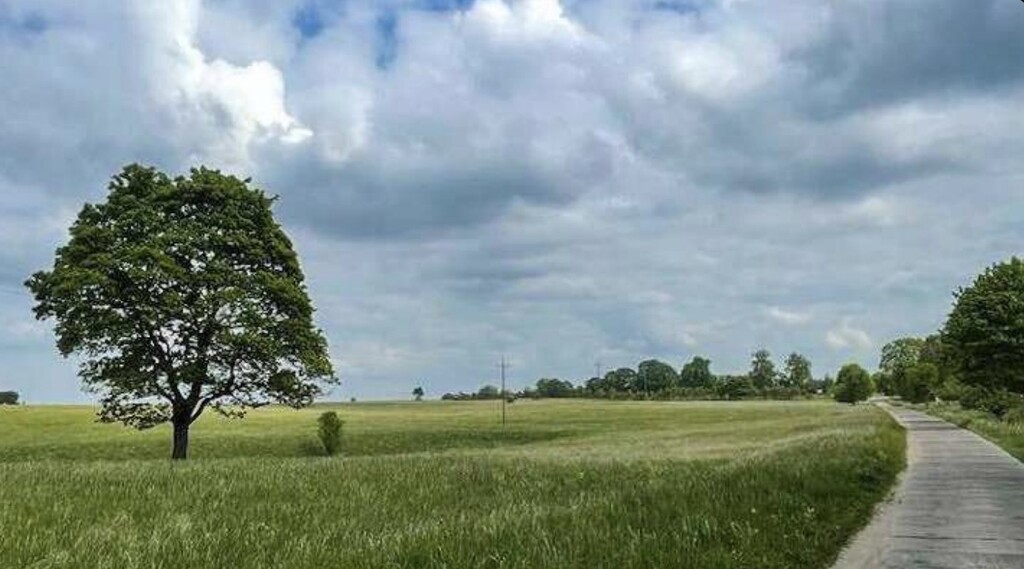 Działka na sprzedaż Dołgie 869 m2 | Arka Nieruchomości